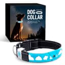 https://i.ibb.co/R2FKMDv/dog-collar-2.jpg
